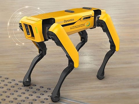 The four-legged utility robot. DEWA is the first utility company in the region to use this robot in its internal operations. It is used for detecting faults and leakages, testing connection points of high-voltage cables, conducting security and monitoring patrols.