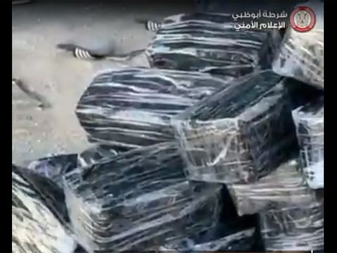 The seized drug consignments