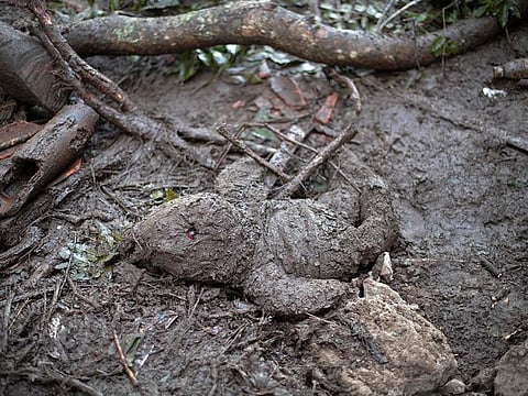 A teddy bear that belonged to a child of the Erroa family who died in a landslide, is seen covered in mud amid the rubble of his home in Nejapa, El Salvador on October 30, 2020