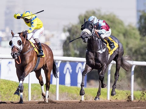 Sam Hitchcott completed a quick double on the opening day's racing at Jebel Ali Racecourse when he partnered Dark Thunder to win the Shadwell Farm maiden over 1,400m.