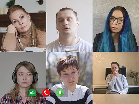 If you know to entertain a bored pet at home, you can hold a webinar