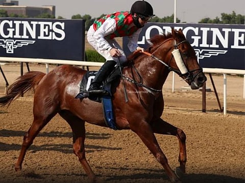 Sharjah Racecourse has an event-filled season opener