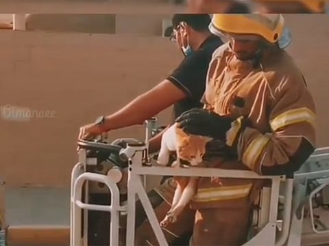 Sharjah Civil Defence had a challenging rescue act on their hands as the cat was perched on a 10-12 metres high branch of an Al Damas tree.