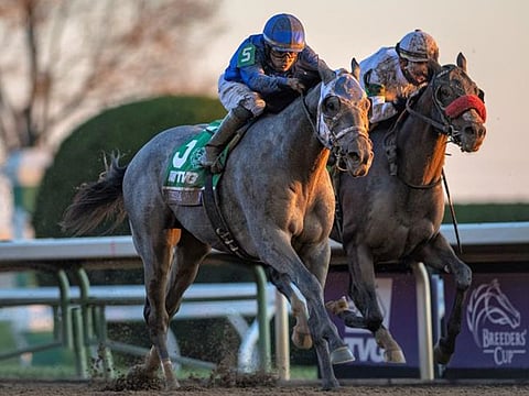Essential Quality (left), the Godolphin horse, is being primed as the favourite for Kentucky Derby on Saturday.