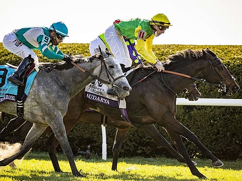 Audarya wins at Keeneland
