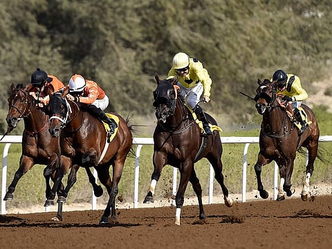 Jebel Ali Racecourse will be back in action on Friday