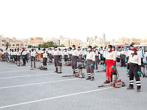 Sharjah Municipality organises mosquito control campaign.