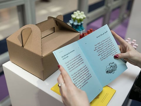 The ideas on display at the show are the outcome of academic research conducted by graduates and their professors, reflecting areas of environmental, social or economic concern.