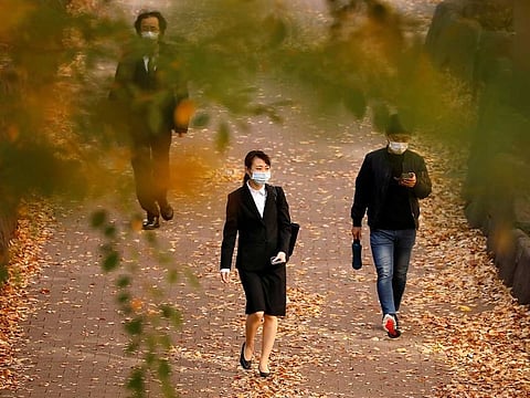 Passersby wearing protective face masks walk under autumn coloured leaves, amid the coronavirus disease (COVID-19) outbreak, in Tokyo, Japan November 19, 2020.