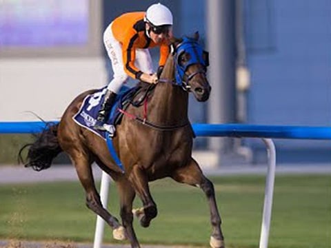 What A Metal will be the main opposition for Raakezz at Jebel Ali