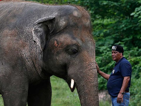 In this Sept. 4, 2020, file photo, Dr. Amir Khalil, a veterinary doctor from the international animal welfare organization "Four Paws" comforts an elephant named "Kaavan" during his examination at the Maragzar Zoo in Islamabad, Pakistan.