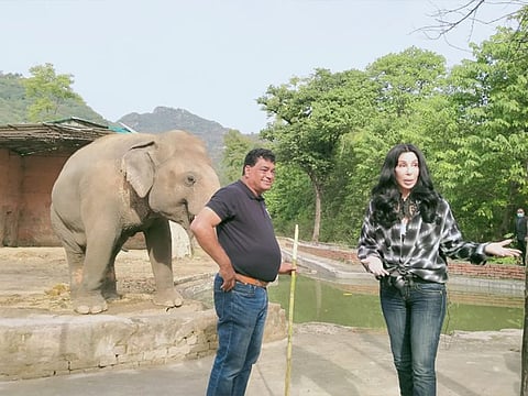US pop star Cher, Four Paws Director Dr Amir Khalil and Kaavan at Marghazar Zoo of Islamabad.