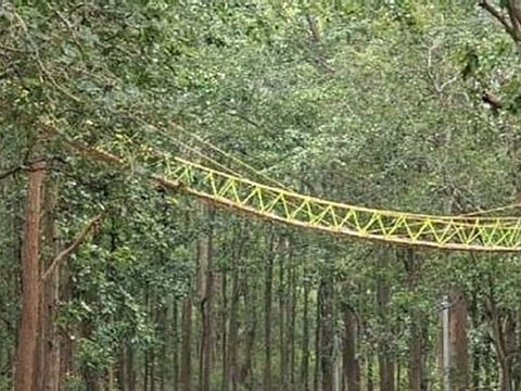 The 90-foot-long structure of bamboo, jute, and grass was built across the two-lane Kaladhungi-Nainital highway