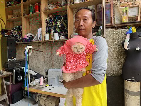 Fredi Lugina Priadi holds his cat wearing a cosplay costume in Bogor, on the outskirts of Jakarta.
