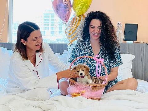 Kangana Ranaut with Rangoli Chandel and their puppy.