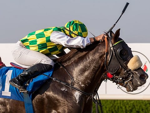 Jawaal, ridden by Fernando Jara, wins the Sheikh Mansoor Bin Zayed Al Nahyan Cup at Sharjah Racecourse