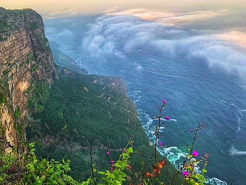 destination management experts say the charm of the Dhofar region will continue to attract more people from other parts of the country as well as from the GCC.