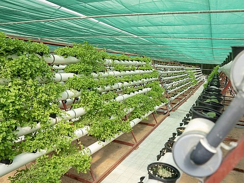 Got an F&B concept in your mind? Then Khalifa Fund will help push that concept into workable solutions.