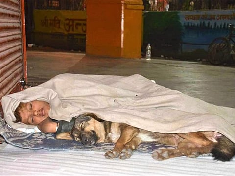 10-year-old Ankit with his dog, Danny, sleeping under a blanket to keep warm on the streets of chilly Uttar Pradesh.