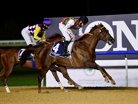 Brraq, ridden by jockey Adrie De Varies and trained by Jean Claude Pecaut wins the Al Maktoum Challenge at Meydan on Thursday.