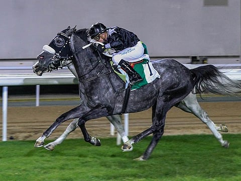 Af Majalis, ridden by Tadgh O’Shea, staves off Jinjal to win the Wathba Stallions Cup For Private Owners Only on Sunday.