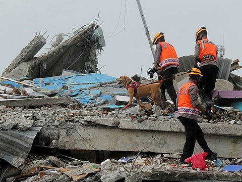 Indonesian police officers with a K9 unit sniffer dog inspect a collapsed hospital building following an earthquake in Mamuju, West Sulawesi province, on January 17, 2021.