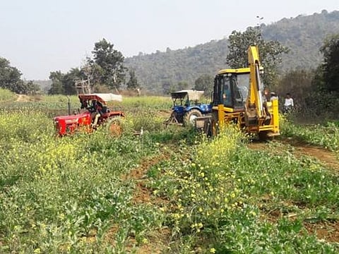 Opium crops being destroyed by police in Gaya district of Bihar.