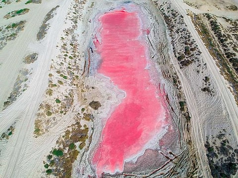 Ammar Al Farsi, 19, discovered the pink lake in Ras Al Khaimah on Monday.