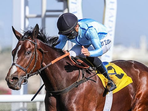 Italian jockey Xavier Ziani guides Blown by Wind to the prestigeous Group 3 Jebel Ali Mile on Friday.