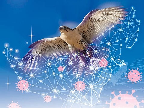 With its efficient handling of the crisis, the UAE looks healthier and economically sound