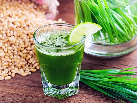 Wheatgrass juice