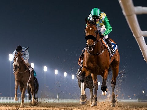 Secret Ambition (right), saddled by champion jockey Tadhg O’Shea, on way to winning the Group 3 Firebreak Stakes at Meydan. Satish Seemar, who saddled him, completed a double when his ward Topper Bill clinched the Conditions Meydan Classic Trial over 1400m on turf.