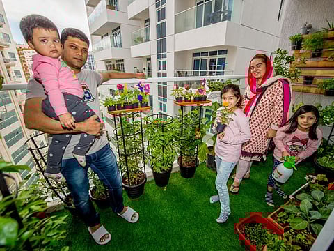 From left: Syeda Noaman, Syed Noaman, Syeda Farzeen, Tabinda Noaman and Syeda Nabeeha on their balcony.