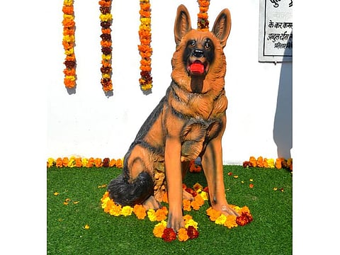 The statue of police dog Tinki which died in November last year.
