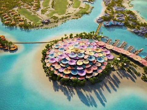 Saudi Arabia's 'Coral Bloom' project.