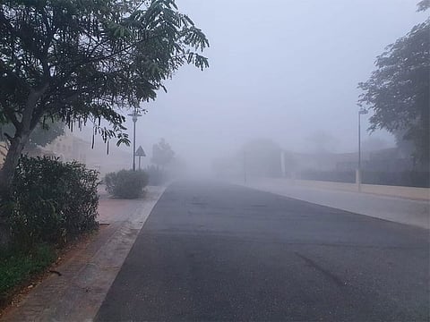 UAE: Fog and mist cause low visibility in some parts of Abu Dhabi, partly cloudy to hazy weather in Dubai, Sharjah and other emirates