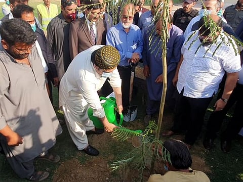 Sindh Information and Local Government Minister Syed Nasir Hussain Shah plants tree at Bagh-e-Jinnah to inaugurate spring plantation campaign of Karachi Metropolitan Corporation.
