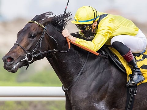 Jockey Ryan Curatolo winning the Pat Smullen Stakes at Jebel Ali Racecourse on Friday.