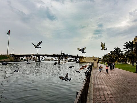 Cloudy and windy weather in UAE