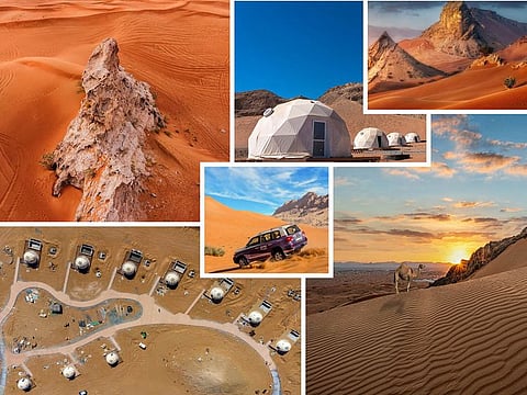 Ahmed Obaid Al Qaseer, CEO of Shurooq, recently said that construction and development are underway and fencing of the park’s 34km premises will be complete by Q3 2024.