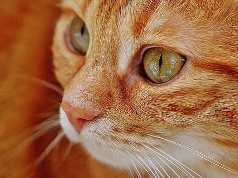 Photo for illustrative purposes