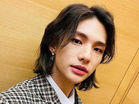 Stray Kids member Hyunjin