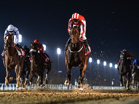 Salute The Soldier wins