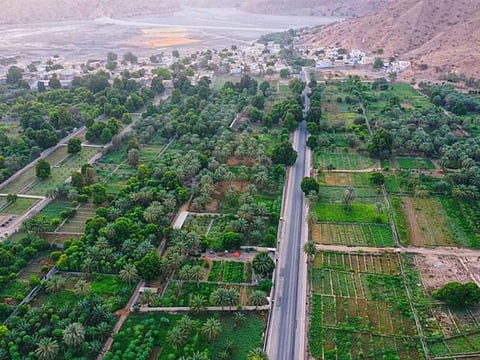 The village of Hail Al Ghaf in Quriyat is known for producing delicious mangoes and other fruit.