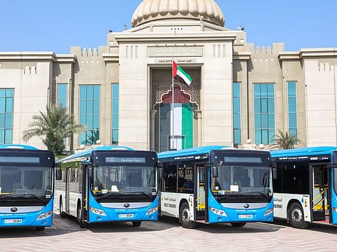 Fleet of public buses in Sharjah.
