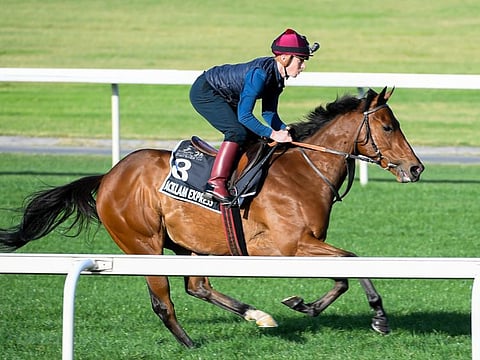 Rowan Scott (with a camera fitted on his helmet) takes Acklam Express for the track work in Meydan on Tuesday.