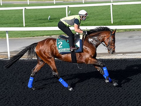 Mishriff, last month's Saudi Cup winner, will run in the Sheema Classic on Dubai World Cup night