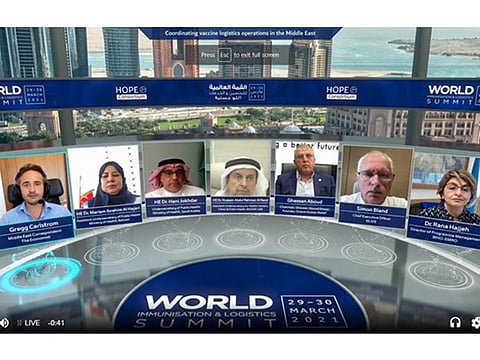 Panelists at the virtual discussion.