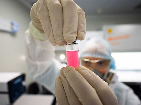 A specialist works on the development of a coronavirus vaccine for animals at a laboratory of the Federal centre for animal health.