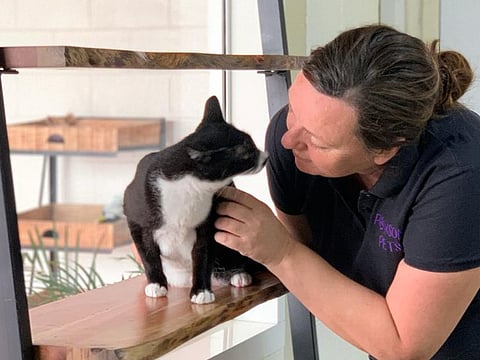 Kirsty Kavanagh has been fostering pets and rescuing animals in the community for more than a decade now